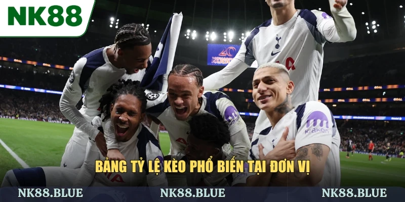 Bảng tỷ lệ kèo phổ biến tại đơn vị