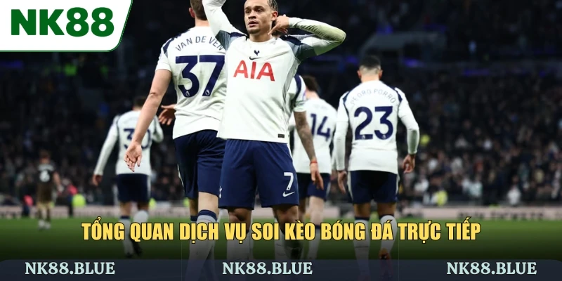 Tổng quan dịch vụ soi kèo bóng đá trực tiếp